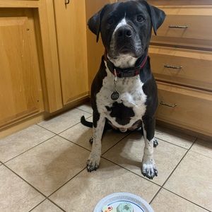 Meet your Posher, Derek